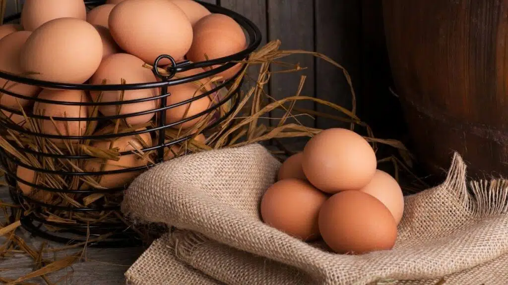 étiquetage des oeufs