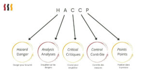 7 principes du HACCP : Votre guide complet pour la formation en ligne